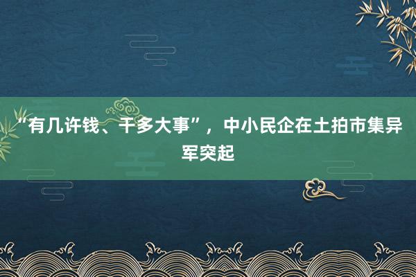 “有几许钱、干多大事”，中小民企在土拍市集异军突起