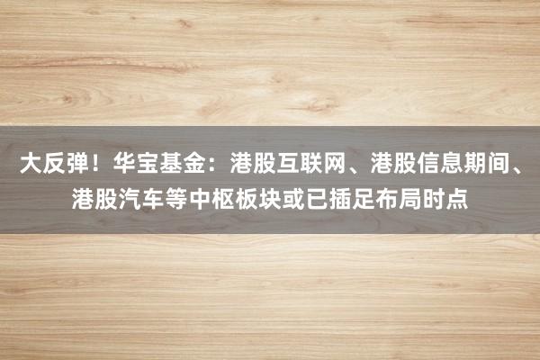 大反弹！华宝基金：港股互联网、港股信息期间、港股汽车等中枢板块或已插足布局时点