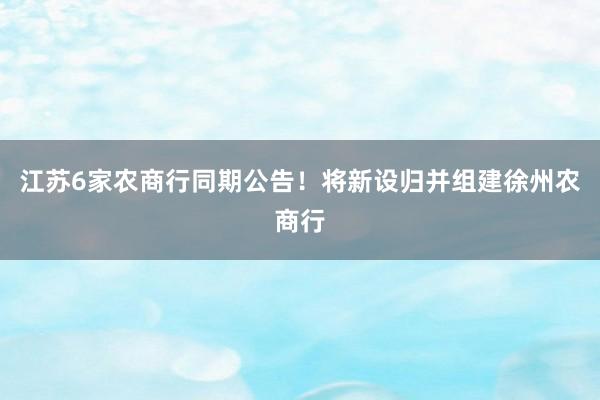 江苏6家农商行同期公告！将新设归并组建徐州农商行