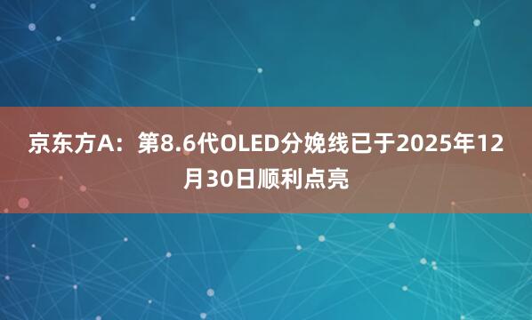 京东方A：第8.6代OLED分娩线已于2025年12月30日顺利点亮