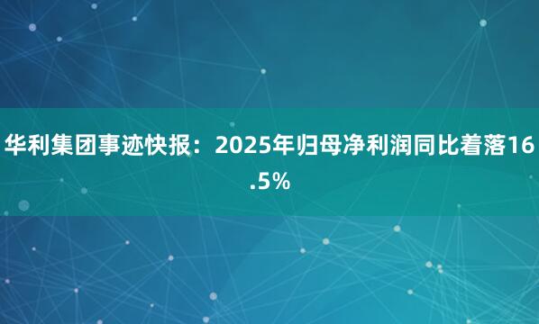 华利集团事迹快报：2025年归母净利润同比着落16.5%