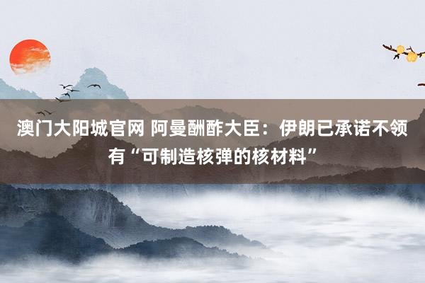 澳门大阳城官网 阿曼酬酢大臣：伊朗已承诺不领有“可制造核弹的核材料”