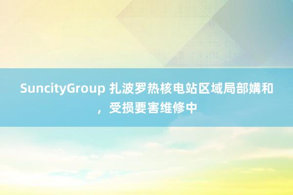SuncityGroup 扎波罗热核电站区域局部媾和，受损要害维修中