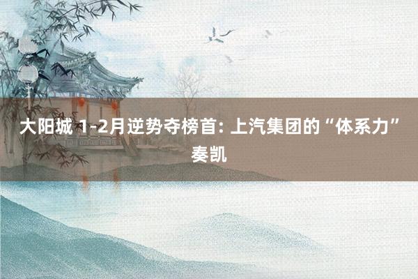 大阳城 1-2月逆势夺榜首: 上汽集团的“体系力”奏凯