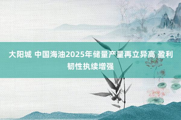 大阳城 中国海油2025年储量产量再立异高 盈利韧性执续增强