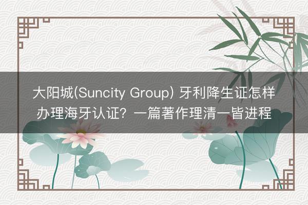 大阳城(Suncity Group) 牙利降生证怎样办理海牙认证？一篇著作理清一皆进程