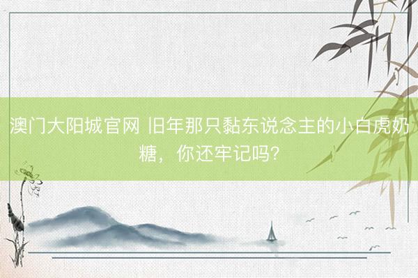澳门大阳城官网 旧年那只黏东说念主的小白虎奶糖，你还牢记吗？