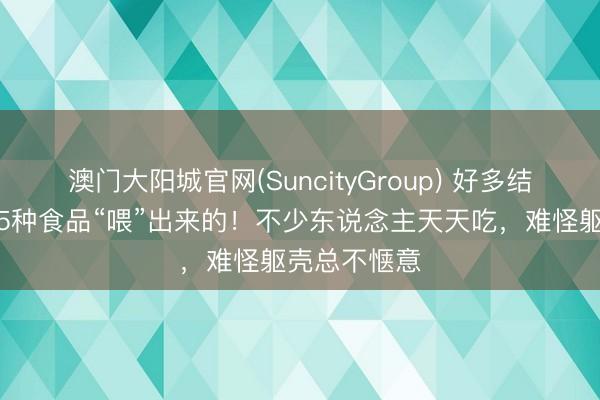澳门大阳城官网(SuncityGroup) 好多结石，皆是这5种食品“喂”出来的！不少东说念主天天吃，难怪躯壳总不惬意