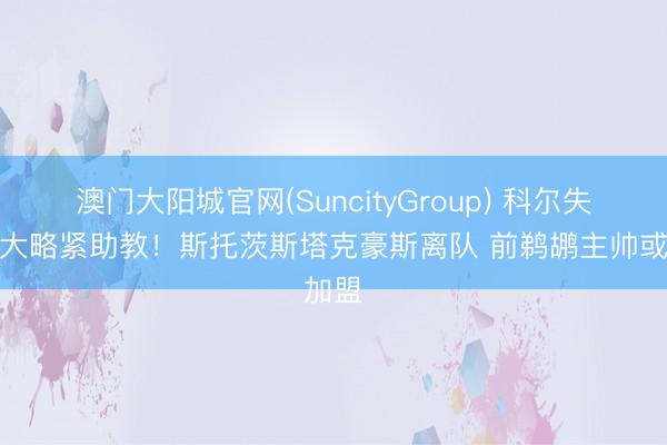 澳门大阳城官网(SuncityGroup) 科尔失去两大略紧助教！斯托茨斯塔克豪斯离队 前鹈鹕主帅或加盟