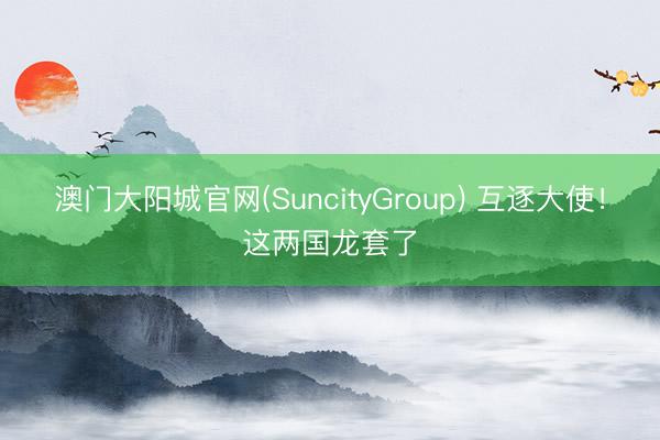 澳门大阳城官网(SuncityGroup) 互逐大使！这两国龙套了