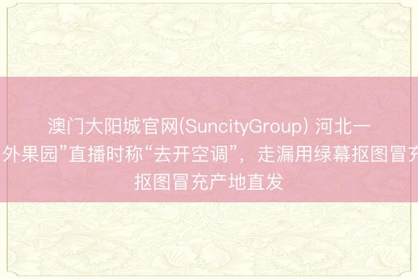 澳门大阳城官网(SuncityGroup) 河北一主播在“户外果园”直播时称“去开空调”，走漏用绿幕抠图冒充产地直发