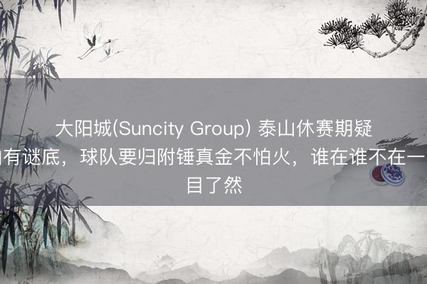 大阳城(Suncity Group) 泰山休赛期疑问就怕有谜底,球队要归附锤真金不怕火,谁在谁不在一目了然