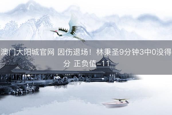 澳门大阳城官网 因伤退场！林秉圣9分钟3中0没得分 正负值-11