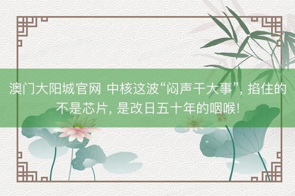 澳门大阳城官网 中核这波“闷声干大事”, 掐住的不是芯片, 是改日五十年的咽喉!